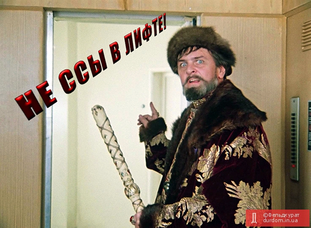 днр
