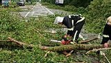 Тернополь в осаде: 7 км подъезда к городу заблокированы поваленными деревьями. ФОТОрепортаж