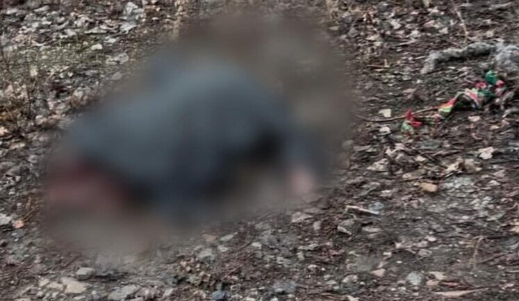 Bodies of man and his mother were found in village of Ponomarenky in Sumy region: previously, people died as result of enemy shelling. PHOTO
