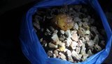 Прикордонники на Львівщині вилучили 28 кг бурштину, захованого в тайниках трьох автомобілів. ВІДЕО+ФОТОрепортаж