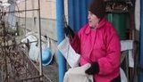 красногоровка