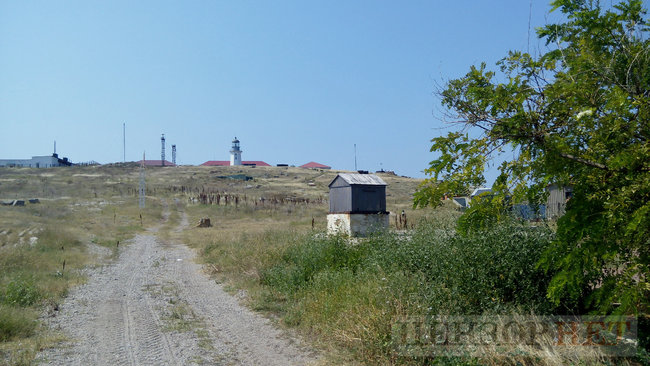 Стародавній маяк, гори мідій і найчистіше в Україні море: життя острова Зміїного 21 Стародавній маяк, гори мідій і найчистіше в Україні море: життя острова Зміїного 21