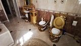 Золоті унітази, елітні машини та живий павич: у Росії затримали верхівку УДІБДР одного з регіонів. ФОТОрепортаж
