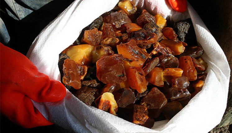 PM expects substantial budget revenue due to legalization of amber production