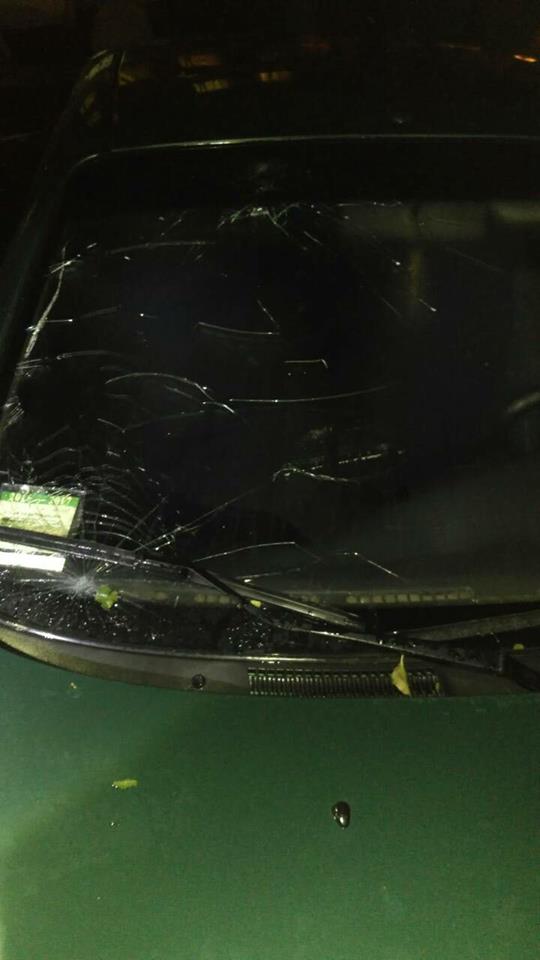 У Бердичеві аномально великий град побив вікна будинків і потрощив автомобілі 03