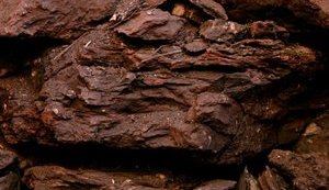 Германия решила полностью отказаться от использования угля до 2038 года