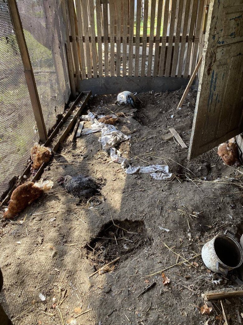 Russians attacked Marhanets community in Dnipropetrovsk region with heavy artillery and drones 04