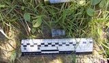 Браконьєр застрелив свого товариша під час полювання на Закарпатті, - поліція