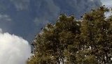 Зачем японское агентство "зафотошопило" трагедию? ФОТО