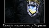 беркут соцсети