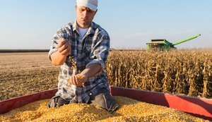 Мінагрополітики пояснило, чому вирішило знизити вимоги для отримання агропідприємствами статусу критичності