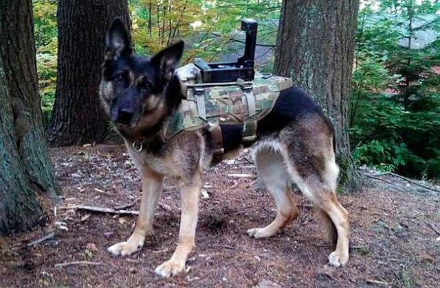 Weapon smarter than man 19 Weapon smarter than man 19