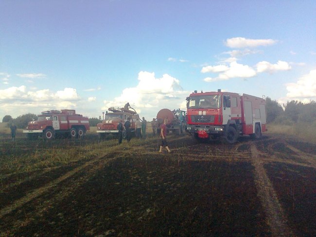 Понад 20 га пшениці згоріло на Житомирщині, - ДСНС 04