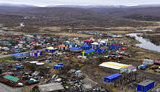 курили