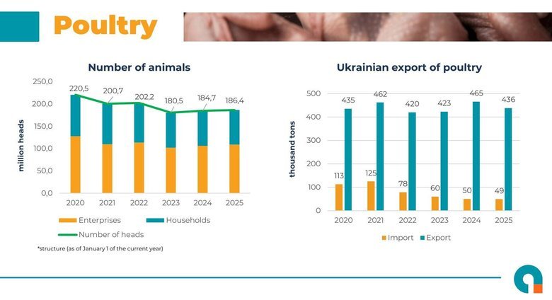 Скільки м'яса птиці імпортувала Україна в 2025 році?