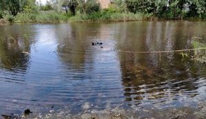 В озере в Дарницком районе Киева утонул мужчина, - ГСЧС