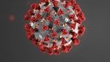 Ukraine reports 3,776 new coronavirus cases