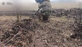 дрон,держприкордонслужба