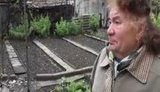 донецк пенсионер