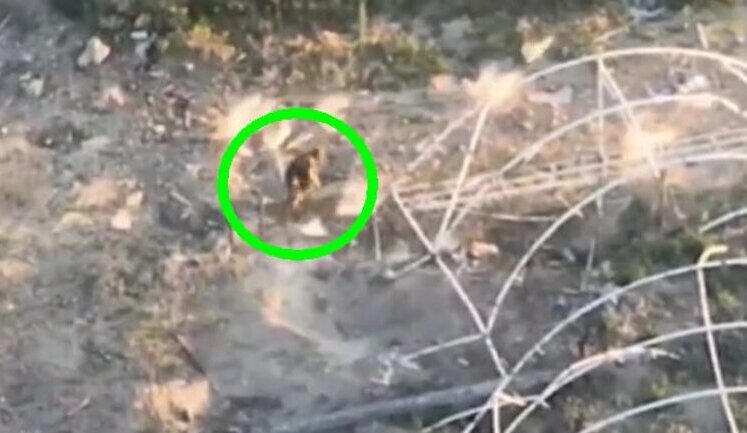 Last run of occupier through streets of bombed Krynky in Kherson region. VIDEO