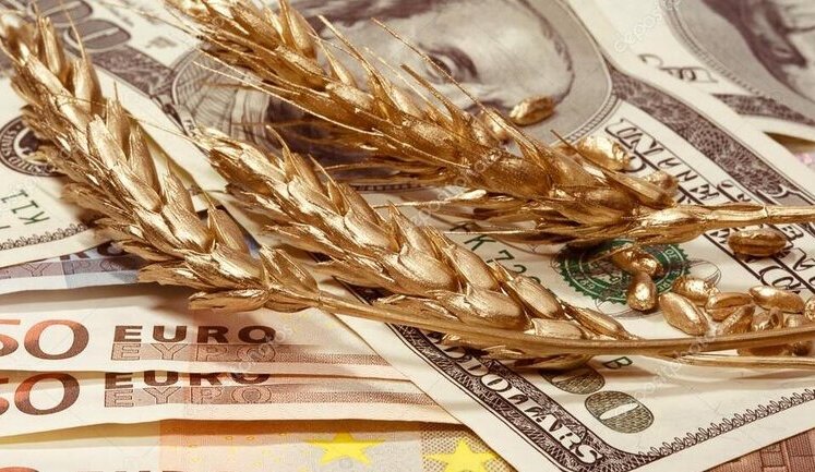 Світові ціни на продовольство почали зростати через блокування "зернового коридору" Росією, – FAO