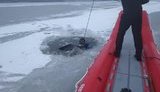 За прошедшую неделю во время пожаров в Украине погибли более 30 человек, на водных объектах - 12, - ГСЧС