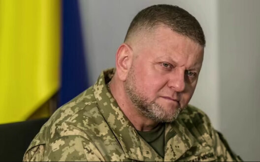 залужний