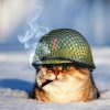КЕНТ #406587