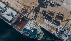 Україна планує розвивати приватний флот для експорту агропродукції, ‒ Мінрозвитку