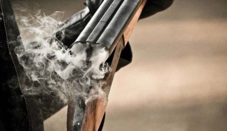 Cabinet Approves Procedure For Use Of Hunting Weapons And Cartridges For Them When Performing Tasks Of Territorial Defense