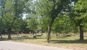 Во дворах Мариуполя каждый день появляются новые захоронения, - Андрющенко. ФОТОрепортаж