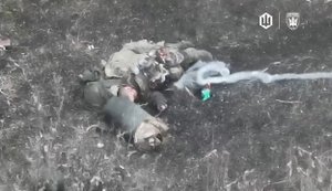 Пілоти "Птахів Мадяра" ліквідували рашиста, який завмер, побачивши український FPV-дрон. ВIДЕО