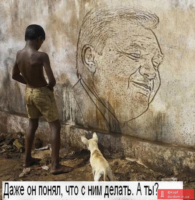 Даже он понял, что с ним делать. А ты?