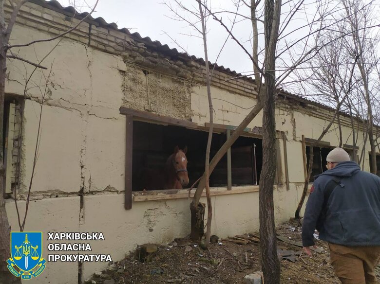 Росіяни атакували шахедами притулок тварин на Харківщині