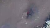 Ammunition hits an occupier swimming in the river