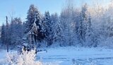 укрнафта