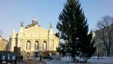 В центре Львова установили "общипанную" елку-"красавицу". ФОТОрепортаж