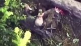 Уцелевший оккупант с оторванными ногами выползает из горящего укрытия, пьет из бутылки и ложится на спину. ВИДЕО
