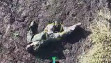 Тела 18 уничтоженных оккупантов валяются среди сорняков после штурмов в Харьковской области