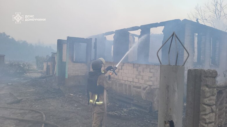 Лісова пожежа на Донеччині