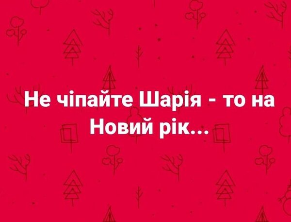 Не трогайте Шария – это на Новый год. Фотожаберы о ликвидации Кивы 16