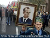 Новый образ