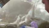 Дрон прилетів у бліндаж із двома окупантами: "На нас заходит! #бать у#бало! Горим нах#й!". ВIДЕО