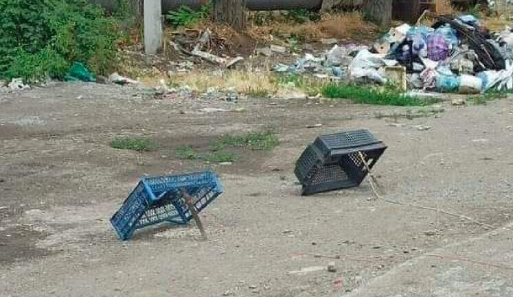 Мариупольцы охотятся на голубей, чтобы не умереть от голода, - СМИ. ФОТОрепортаж