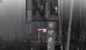 Sniper eliminating Russian occupiers in Kreminna forest in Luhansk region. VIDEO