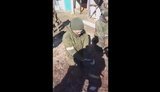 полон