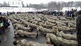 флешмоб