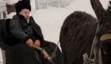 Кандидат в Президенты России бьет ослика: Осел - это наша страна ! + ВИДЕО.