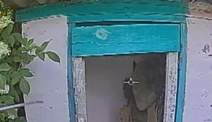 Drone catches occupier in toilet on rural farmstead. VIDEO