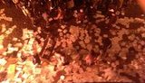 львов захват власти